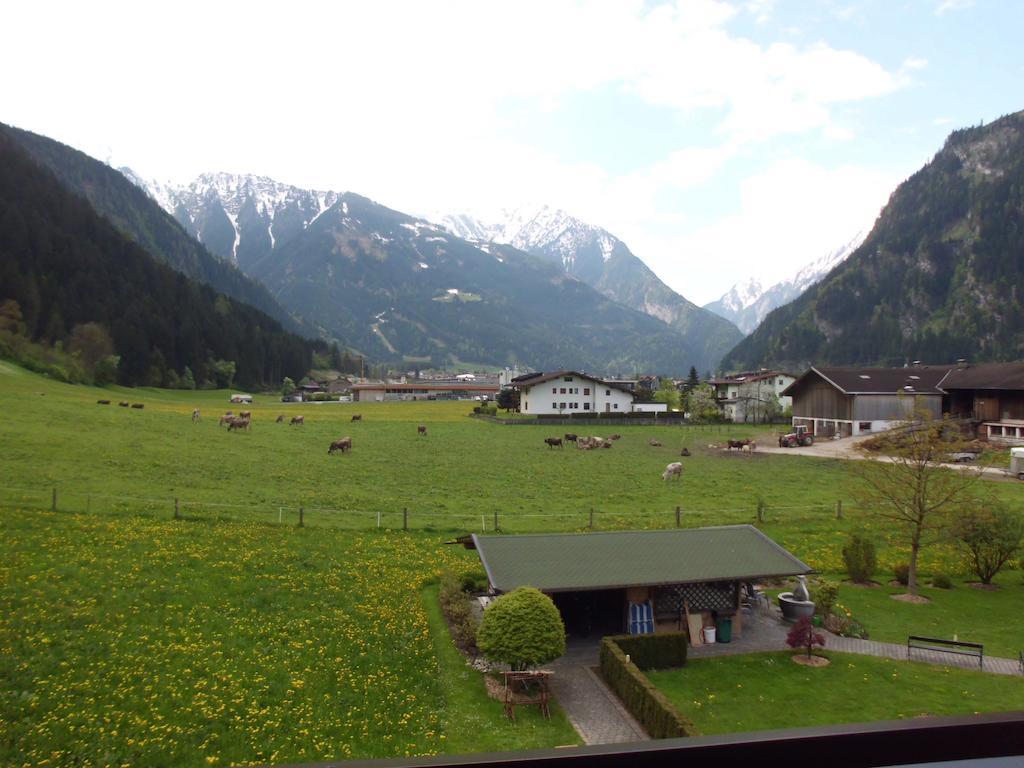Ferienwohnungen Rahm Mayrhofen Rum bild